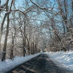 Beginner Photography Tips for Sharper Daily Pictures