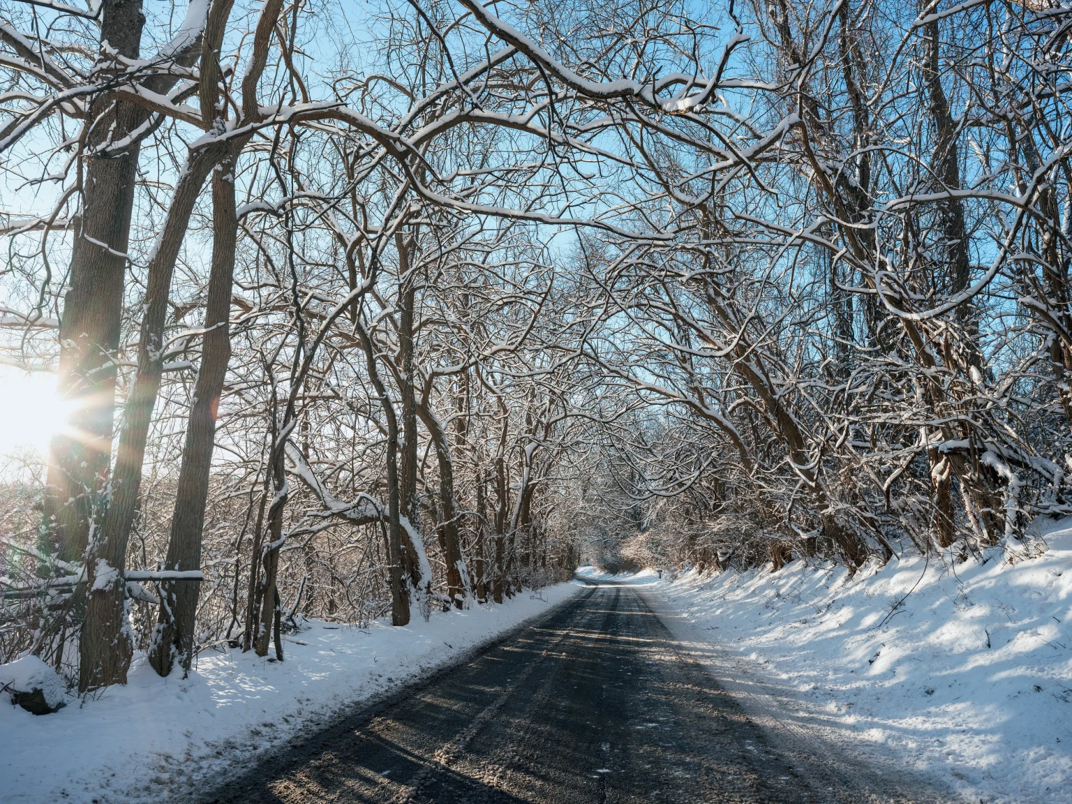 Beginner Photography Tips for Sharper Daily Pictures