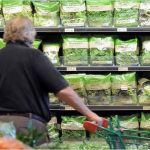 Choice Overload: When Having More Options Makes Life Harder
